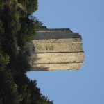 DSCN5093